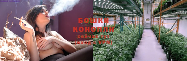 спайс Белокуриха