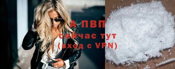 сатива Белоозёрский